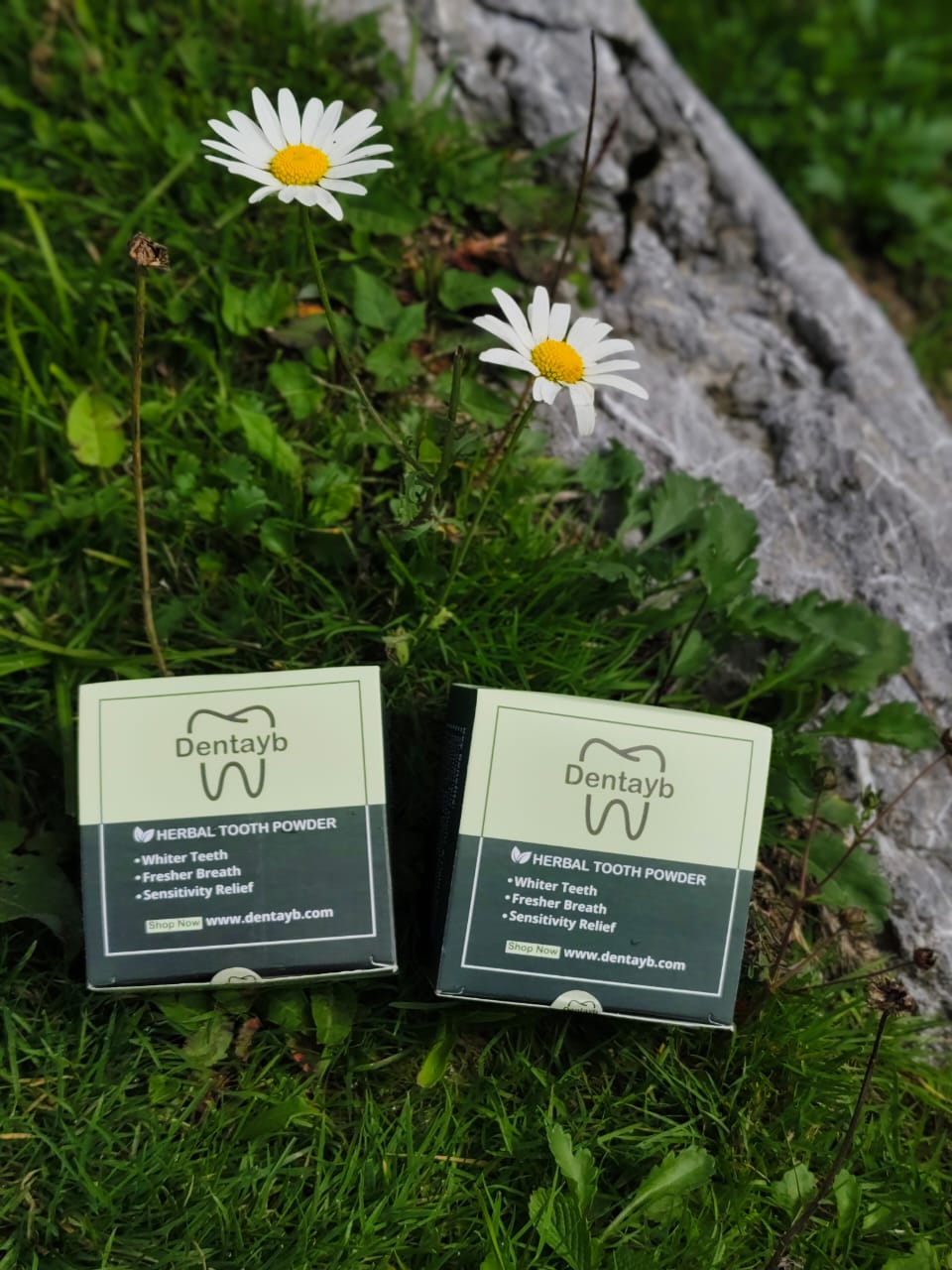 Herbal Whitening Powder for Teeth – Stain Removal & Pain Relief